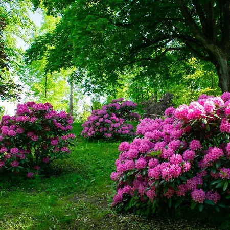 Hotel Folwark Lekuk 3*