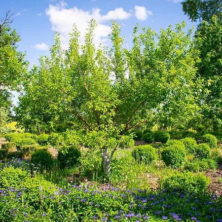 Folwark Lekuk Hotel Łękuk Mały