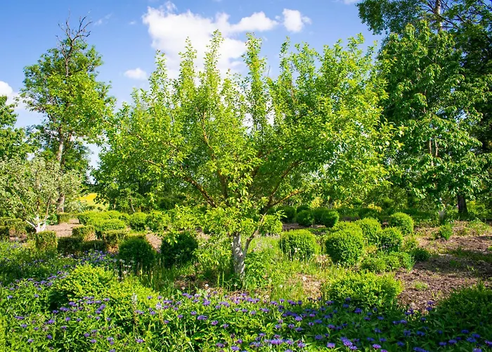 Folwark Lekuk Hotel Łękuk Mały